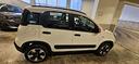 fiat-panda-cross-1-0-firefly-70cv-s-s-hybrid-
