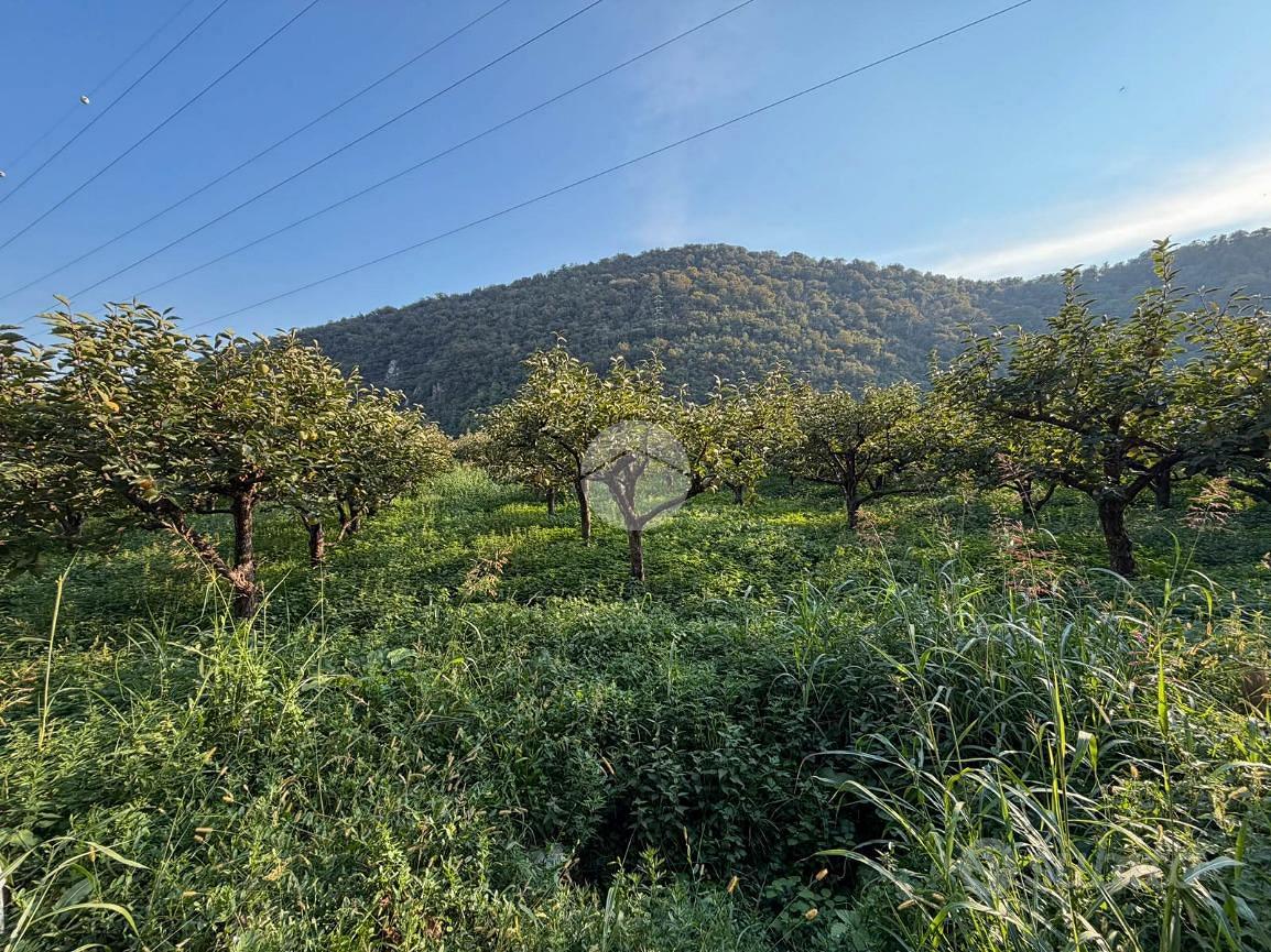 TER. AGRICOLO A CONCESIO - Vista 4