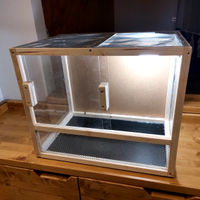 Teca terrario geco pogona