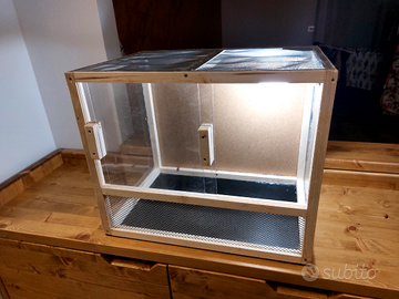 Teca terrario geco pogona