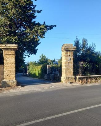 CARINI/BIVIO FORESTA: TERRENO AGRICOLO MQ 3600