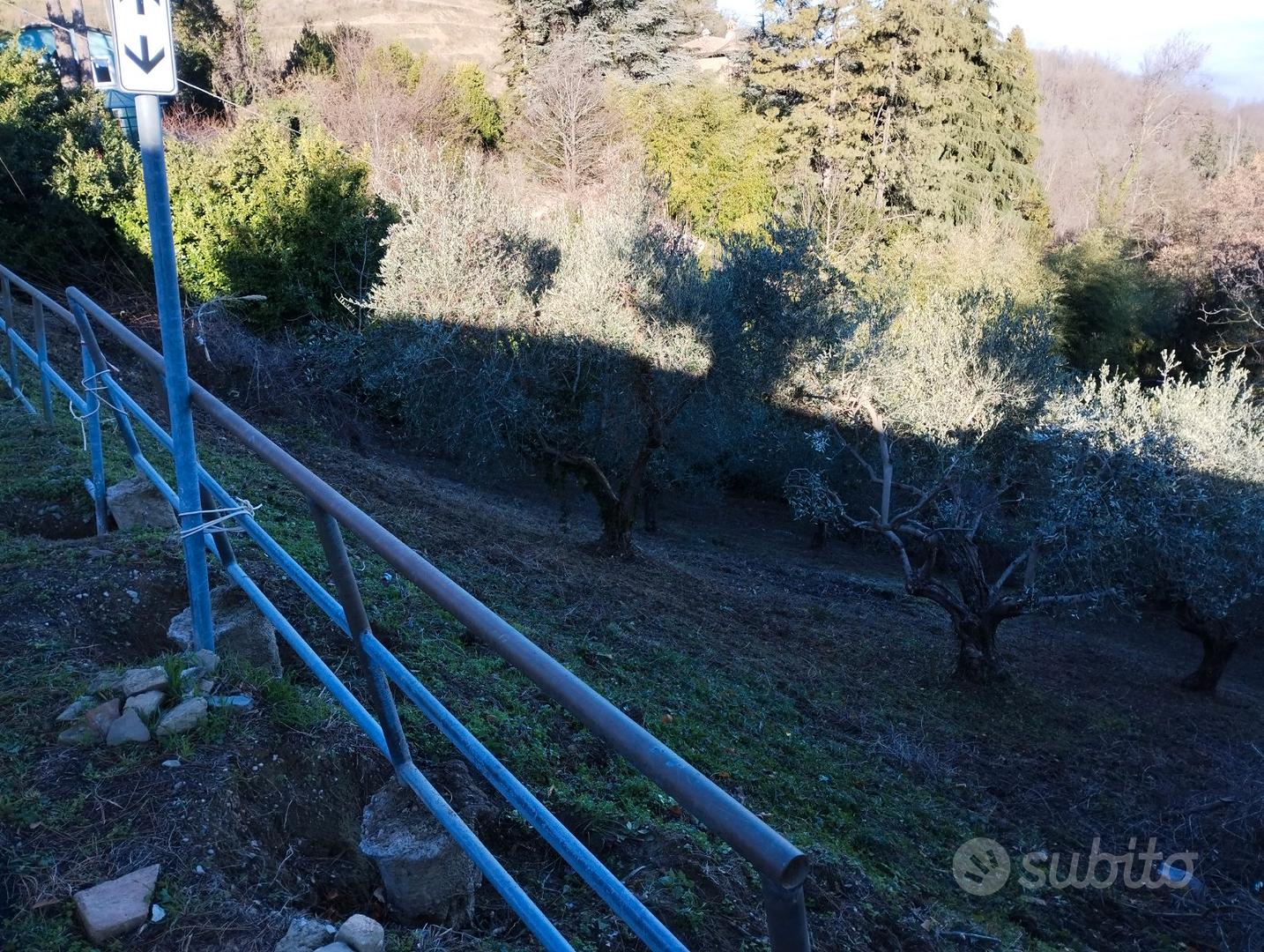 Terreno agricolo - Vista 4