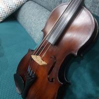 Come da foto,  viola GEWA allegro,  180 €