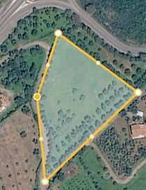 Terreno agricolo con ulivi e alberi da frutto