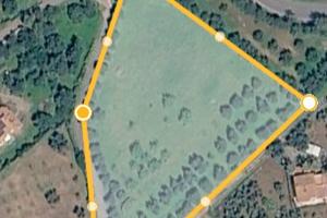 Terreno agricolo con ulivi e alberi da frutto