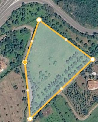 Terreno agricolo con ulivi e alberi da frutto
