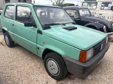 Fiat Panda 1100 i.e. cat Young