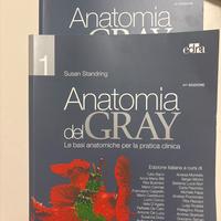 Anatomia del Gray di Susan Standring, 41^ edizione