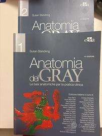 Anatomia del Gray di Susan Standring, 41^ edizione