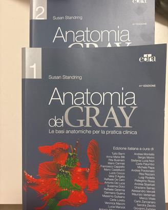 Anatomia del Gray di Susan Standring, 41^ edizione