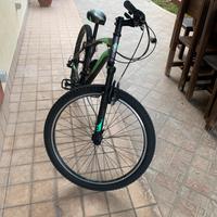 Bici mountainbike casadei