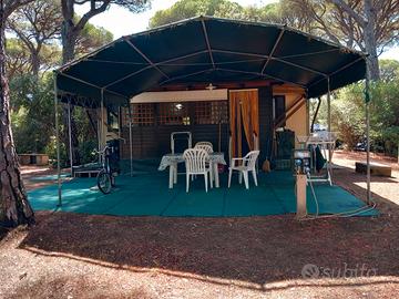 casa mobile con veranda in legno