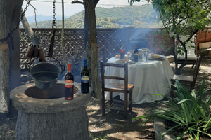 Disponibile appartamento in casa rurale rustica