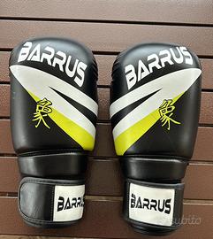 Guantoni da Kickboxing