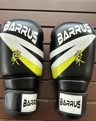 Guantoni da Kickboxing