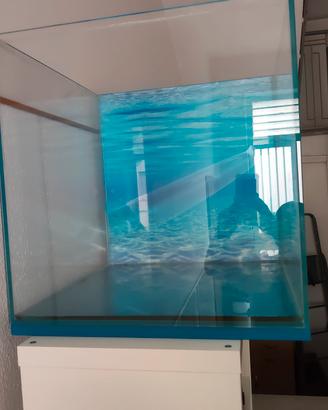 acquario cubo extrachiaro