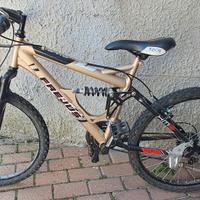 mountain bike "Frejus" 24'
