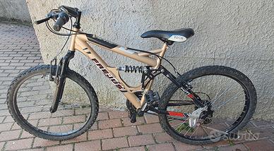 mountain bike "Frejus" 24'