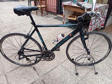 Bici Carraro city