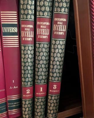 enciclopedia Uccelli