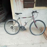 mountain bike vintage