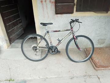 mountain bike vintage