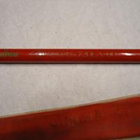 Canna da pesca da punta 6 metri Daiwa CMPS 720