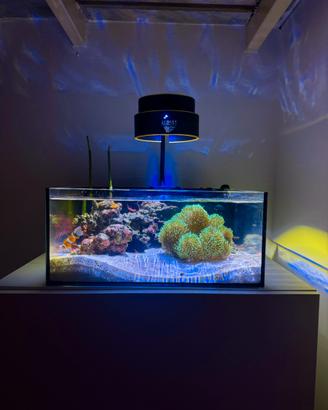 Acquario marino completo