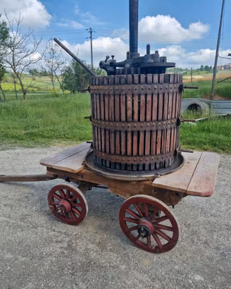 Torchio vino vintage / arredo rustico