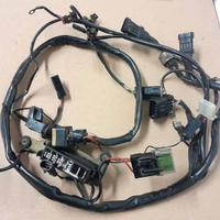 Cablaggio elettrico Ducati Monster 600 750 900