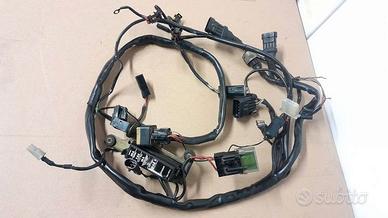 Cablaggio elettrico Ducati Monster 600 750 900