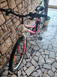 bicicletta