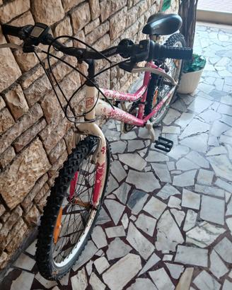 bicicletta