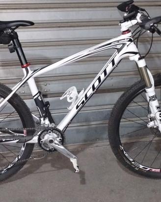 Scott scale 20 carbono