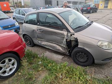 Ypsilon incidentata