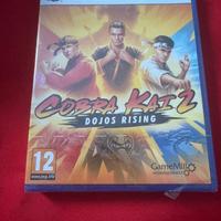 Cobra Kai 2 Dojos Rising PS5