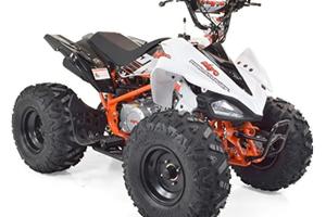 QUAD 110 CC