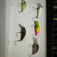 Crank trout area lotto 3