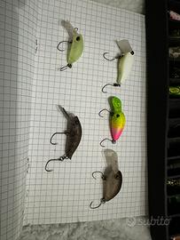 Crank trout area lotto 3