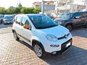 fiat-panda-1-3-mjt-4x4-antartica-30-anniversario