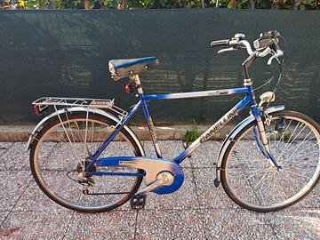 Bicicletta Cannellini