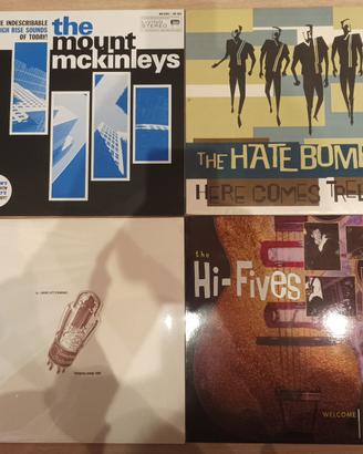 Dischi vinile garage punk hardcore americano