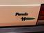 Immagine 14