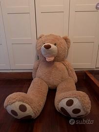 Peluche orso gigante
