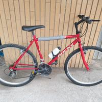BICICLETTA MOUNTAIN BIKE