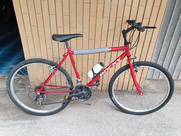 BICICLETTA MOUNTAIN BIKE