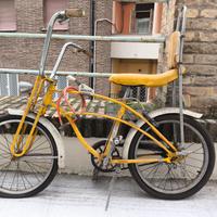 Graziella cross carnielli 