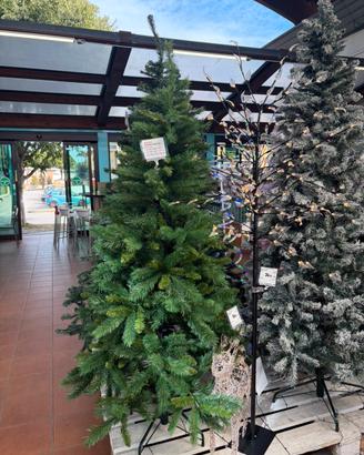Albero di Natale 1.80 h