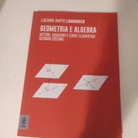 Geometria e algebra 