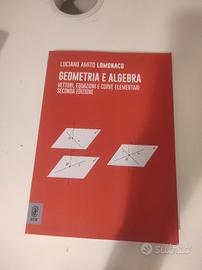 Geometria e algebra 